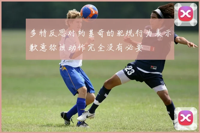 多特反思对约基奇的犯规行为表示歉意称该动作完全没有必要