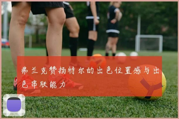 弗兰克赞扬特尔的出色位置感与出色串联能力